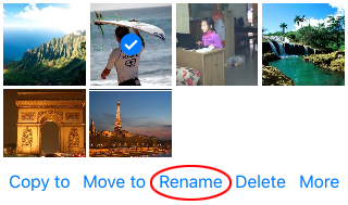 The Rename action in Photo Manager Pro