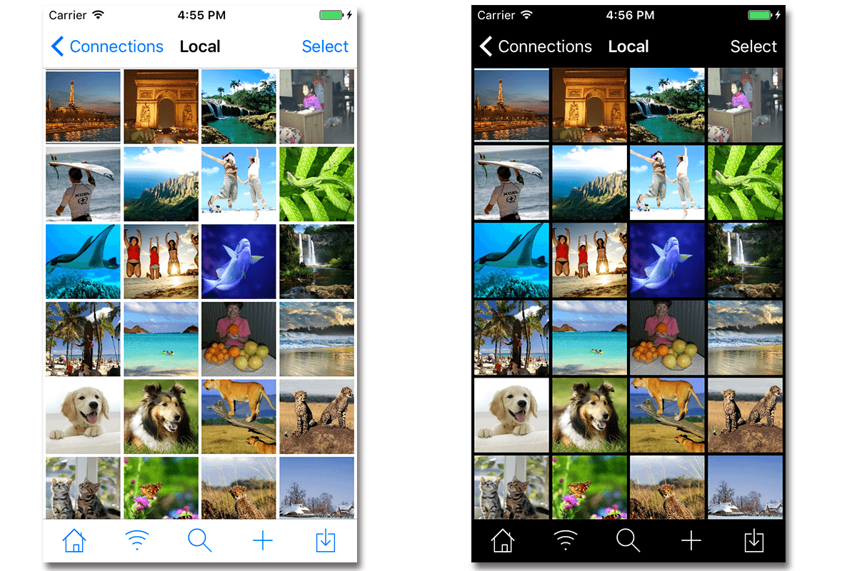 Photo Manager Pro shown in light and dark themes