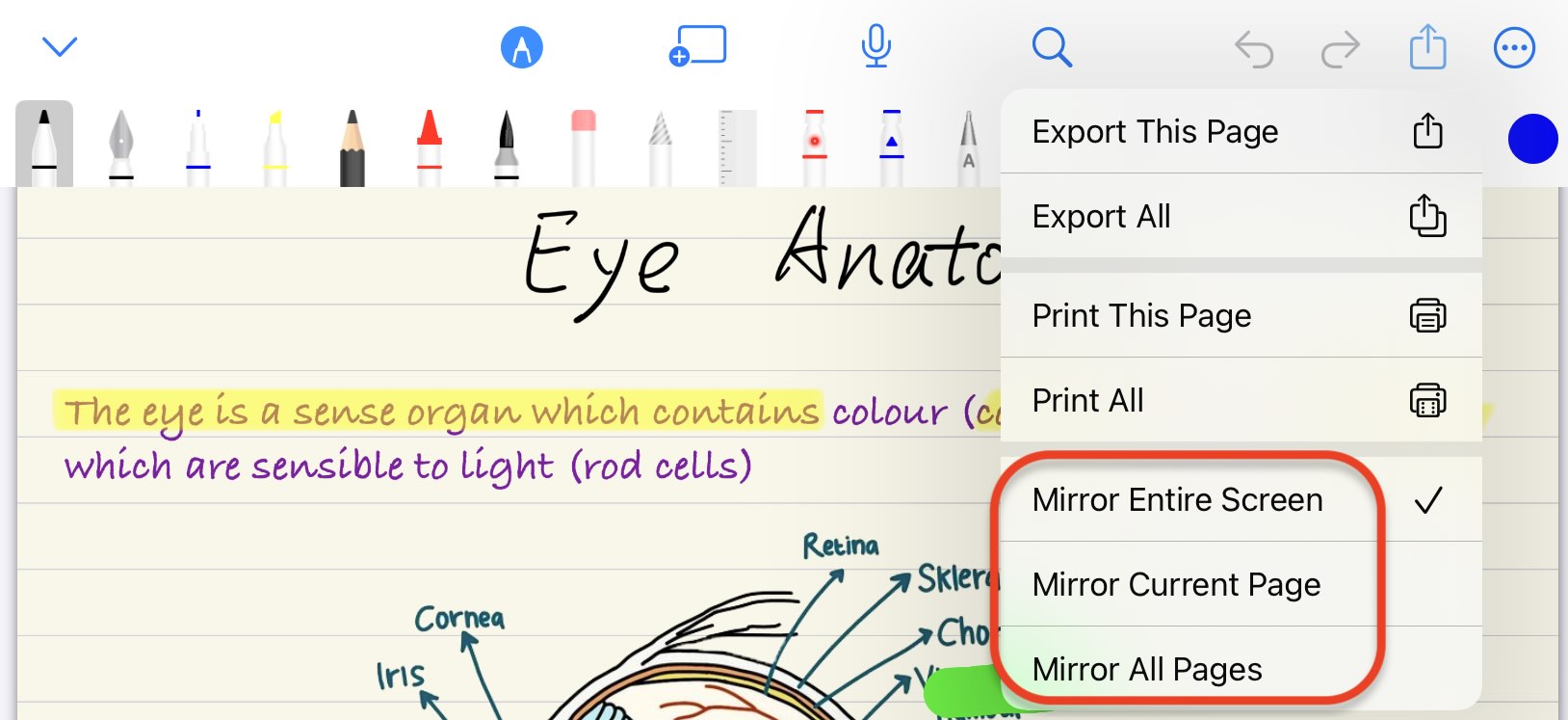 Presentation modes in UltraNotes